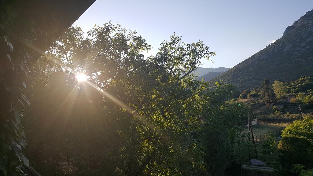 Hani Zemenou Arachova Luaran gambar