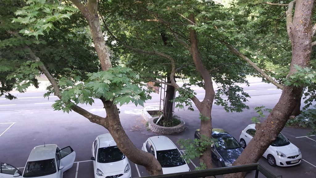 Hani Zemenou Arachova Luaran gambar